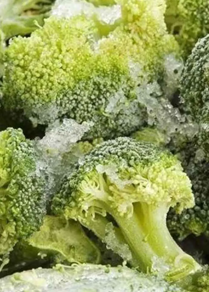 Broccoli - Image 3