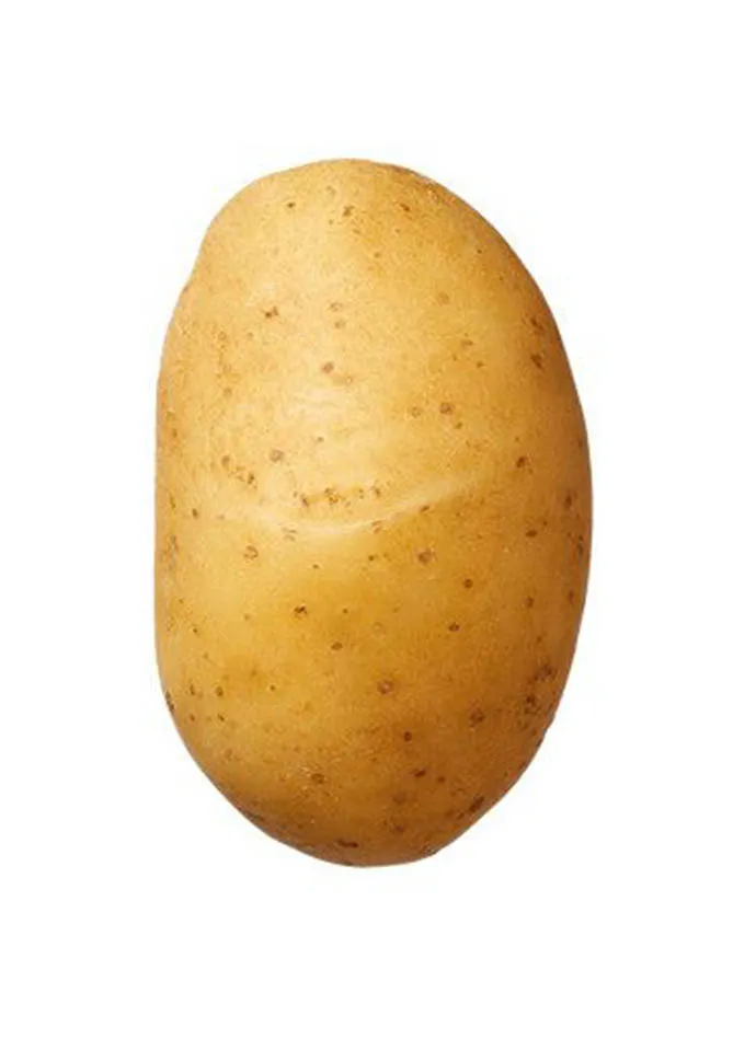 Potato