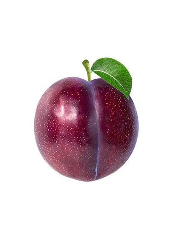 Plum
