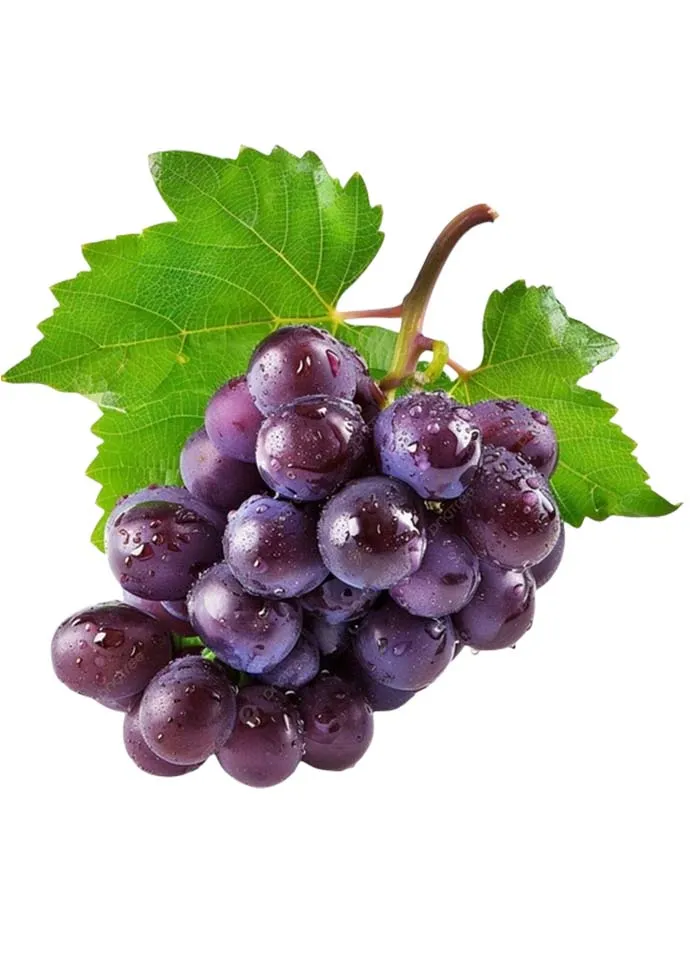 Grapes - Image 4